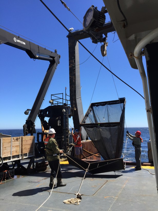 03 methot deployment