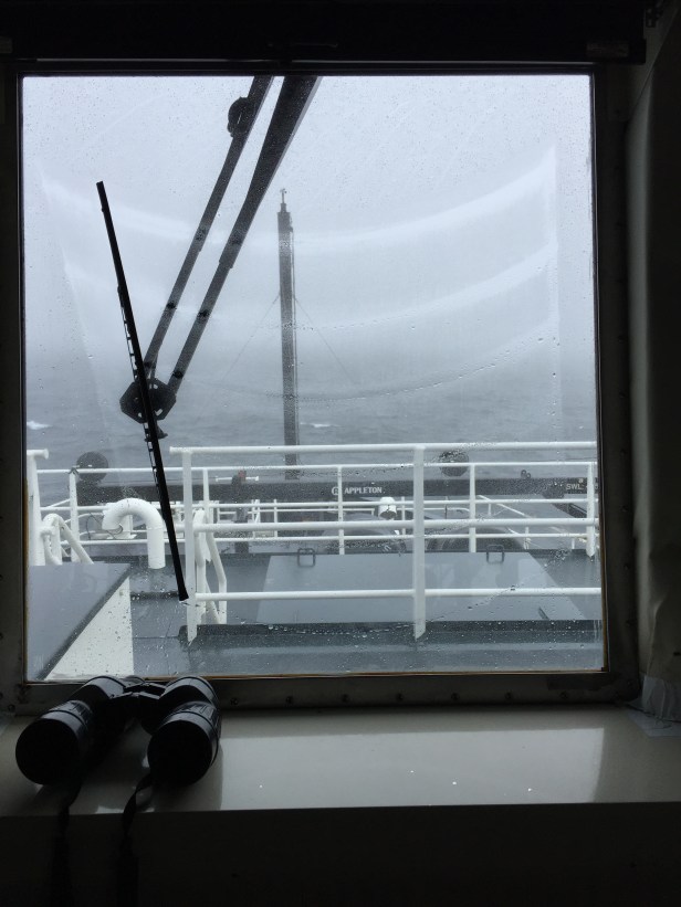 04a marine mammal watch foggy