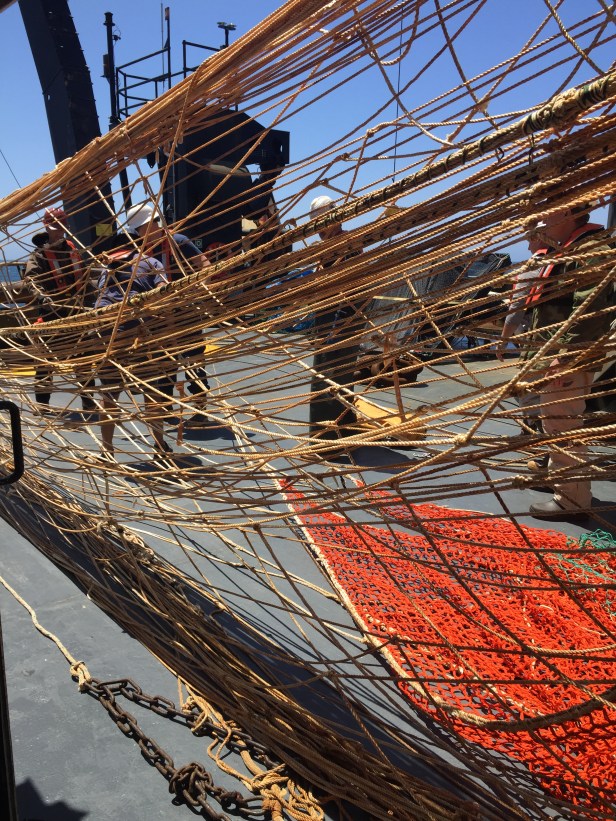 05c so much mesh unwinds from the net reels, its crazy