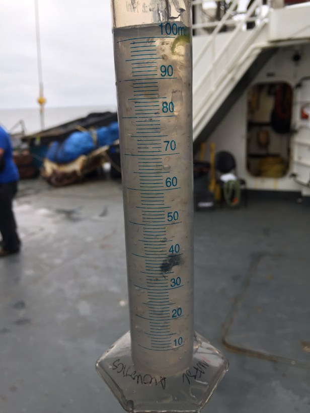 09 methot critters (29)