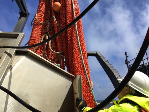 13 and on deck, we wait too. it can take hours to complete one trawl