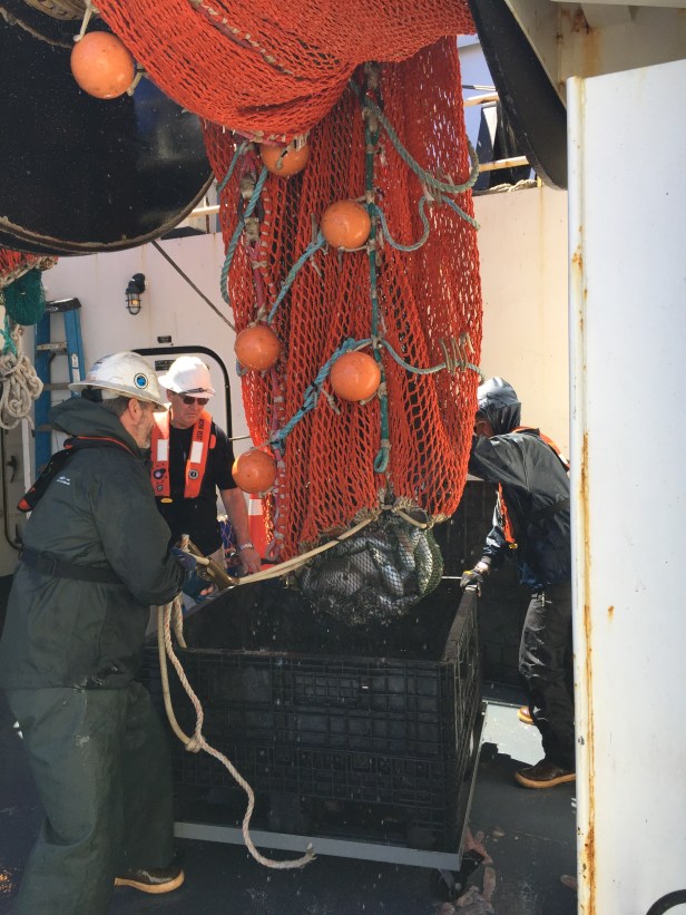 14 can't wait to see what we got